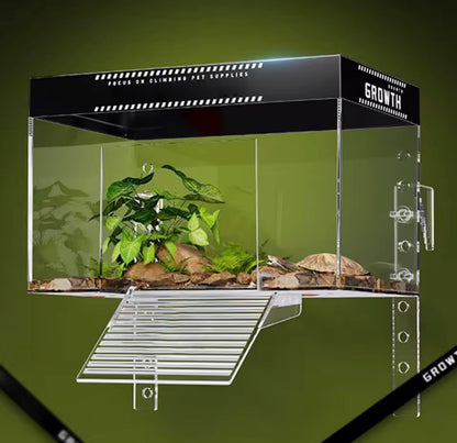 Reptile: Pet Turtle Basking Area With Ramp and Lamp 20 cm x 14 cm