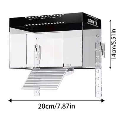 Reptile: Pet Turtle Basking Area With Ramp and Lamp 20 cm x 14 cm
