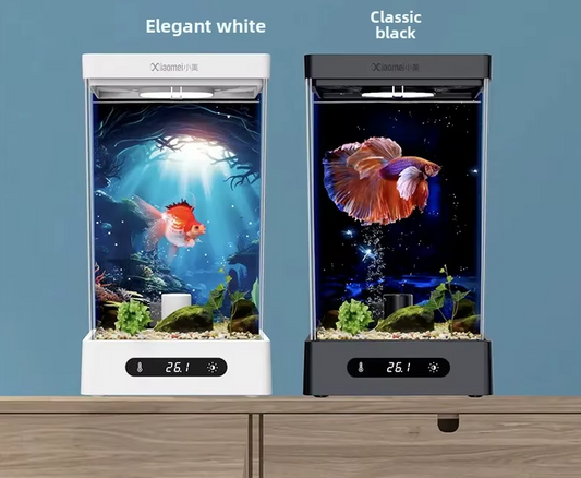 Smart betta dedicated fish tank 209 x 129 x 114 mm