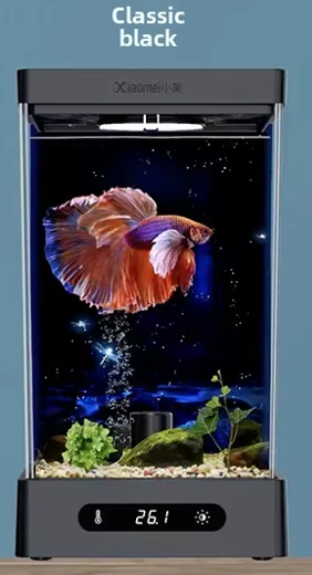 Smart betta dedicated fish tank 209 x 129 x 114 mm